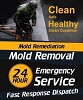 Recon Mold Removal